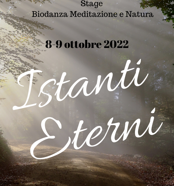 https://meditaedanza.com/wp-content/uploads/2022/07/Istanti-Eterni-per-sito-600-×-770-px-600x640.png